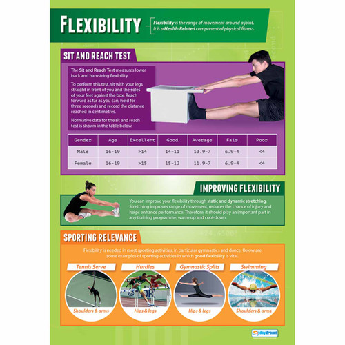 School Charts - Flexibility-laminated